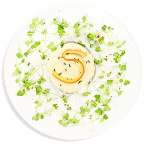 Tortino di Salmone e Burrata